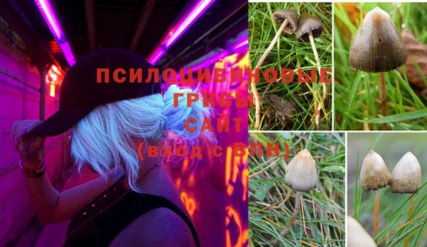 твердый Абаза