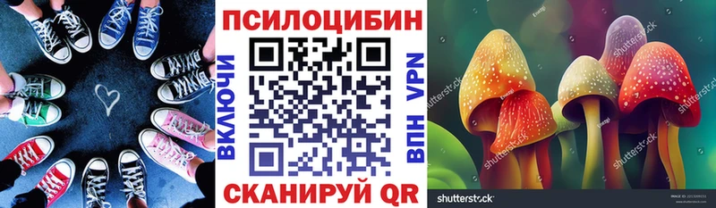 цена mega Псилоцибиновые грибы ЛСД Усть-Илимск