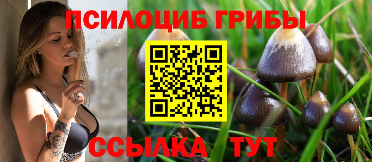Галлюциногенные грибы MAGIC MUSHROOMS  Вход с VPN  Галлюциногенные грибы GOLDEN TEACHER  Усть-Илимск 